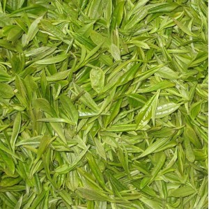 Green Tea P.E