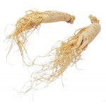 Radix Sophorae Flavescescentis.P.E
