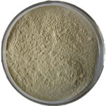 Gynostemma P.E